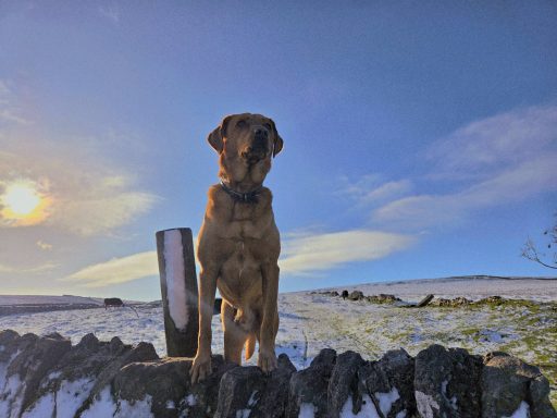 dog-friendly-castleton