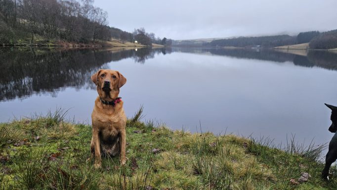 Reservoir near Buxton