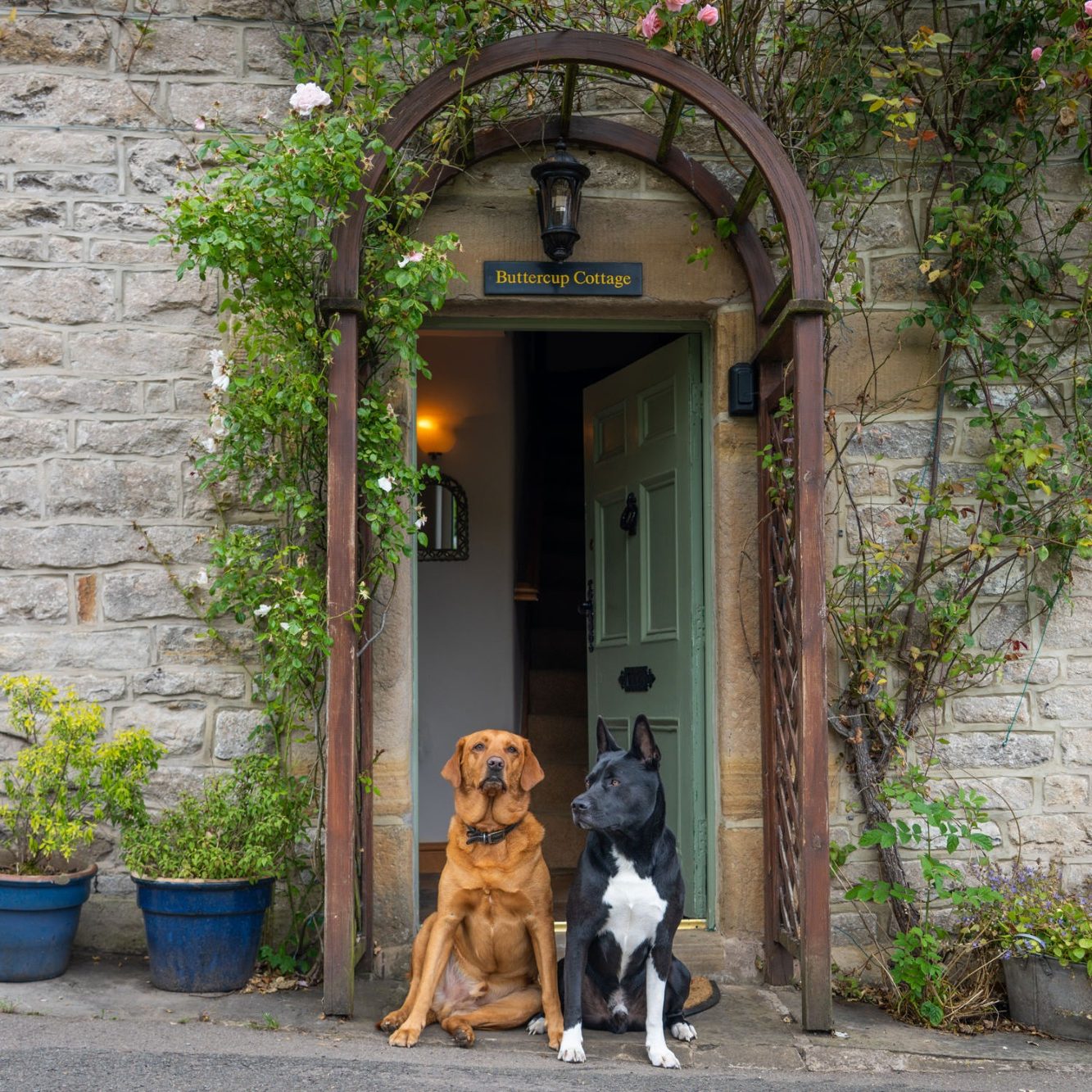 Dog friendly cottage accommodation Castleton