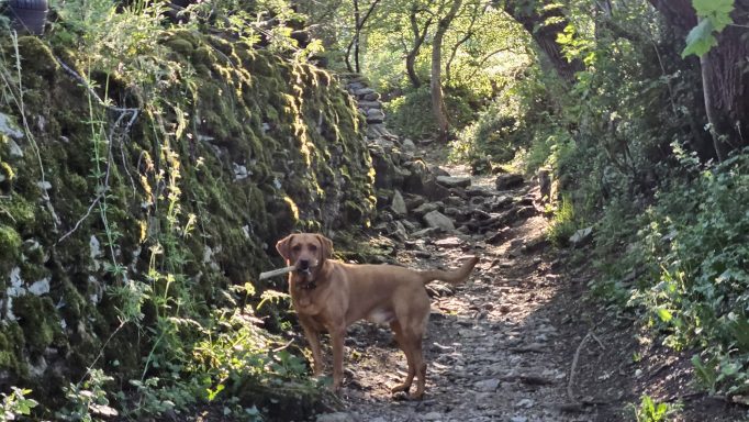 Circular walk behind Castleton
