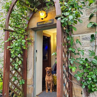 Buttercup Cottage | Peak District