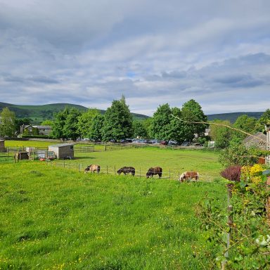 Farmstead behind Buttercup Cottage