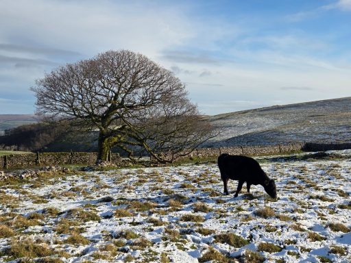 Cottage Castleton Walking