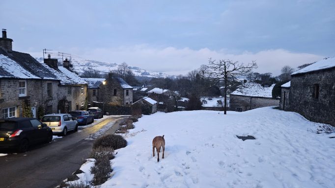 Buttercup Cottage in Winter
